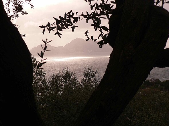 Entspannender Blick auf die Ostsee als Metapher für die Wirkungen der Hypnotherapie bei verschiedenen Störungsbildern